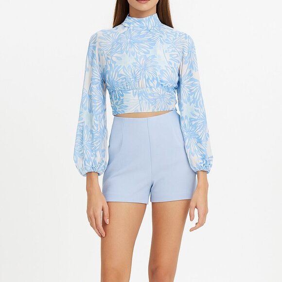 Amanda Uprichard Tops - Amanda Uprichard Blue Floral Tie Back Top S Sheer High Neck Romantic *Minor Flaw